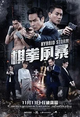 棋拳风暴普通话版高清