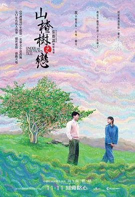 山楂树之恋2011演员表