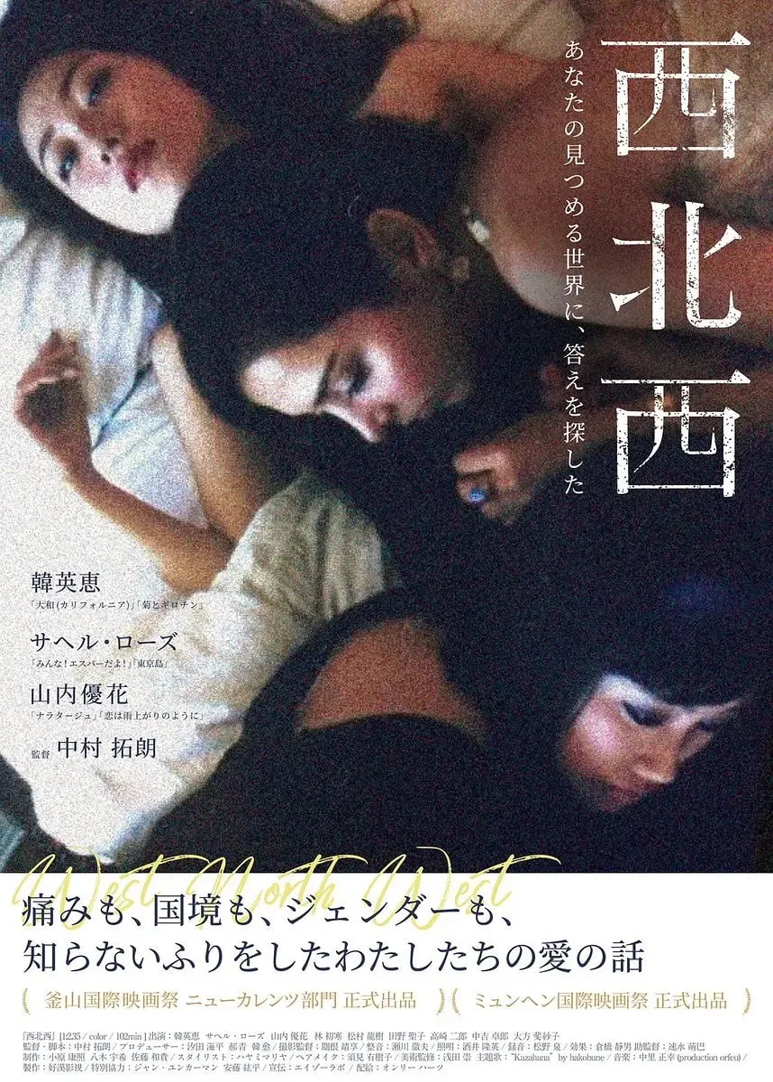 西北西大是211还是985