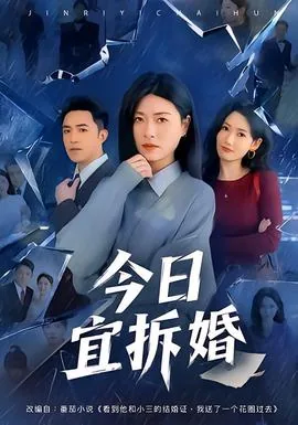 今日宜拆婚短剧全集