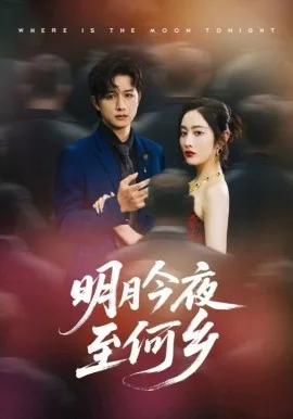 明月今夜到何乡小说大结局