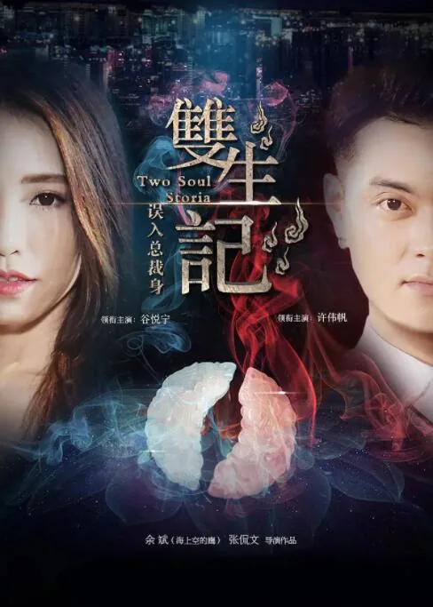双生记之误入总裁身评价