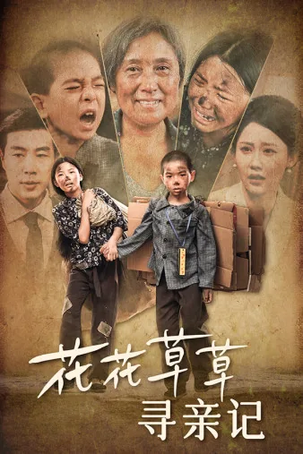 花花草草寻亲记全集短视频免费观看