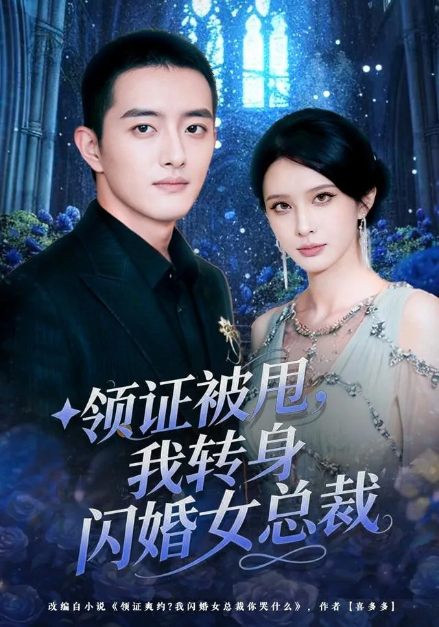领证被甩,我转身闪婚女总裁短剧在线观看