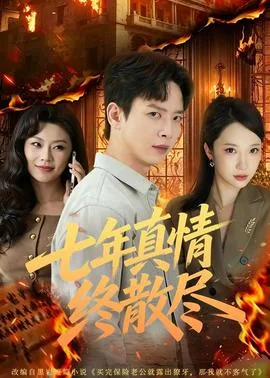七年真情终散尽后一句
