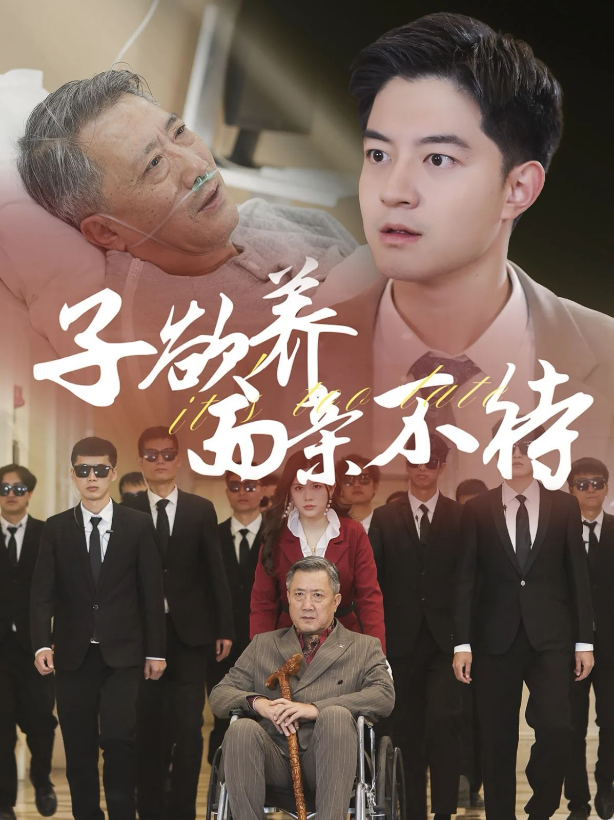 子欲养而亲不待风欲静而风不止是什么意思
