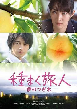 播种的旅人美野里的茶