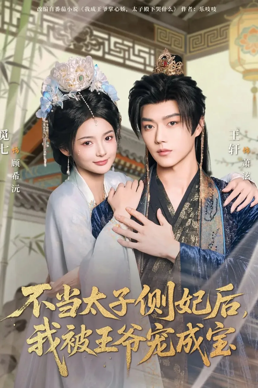 不当太子侧妃后，我被王爷宠成宝