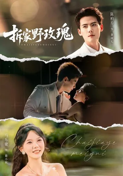 拆家野玫瑰里韩语歌曲叫什么