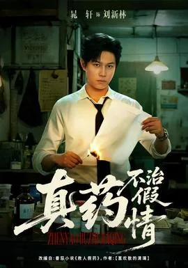 真药不治假情txt