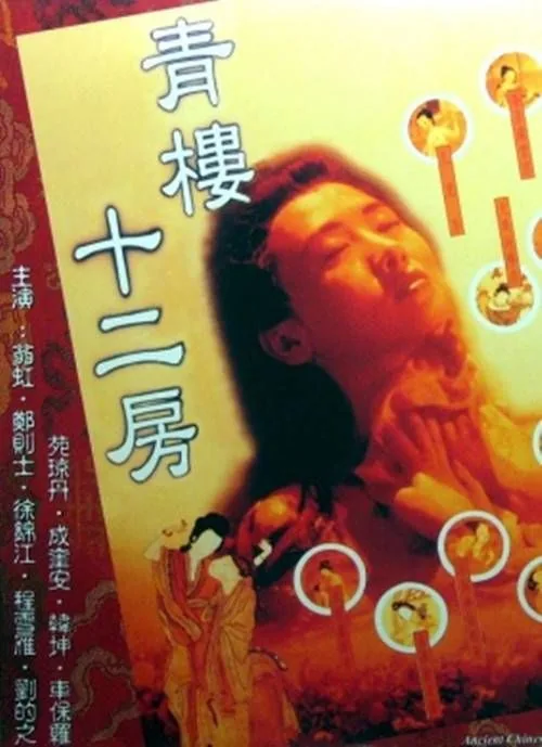 青楼十二房免费版电视剧高清