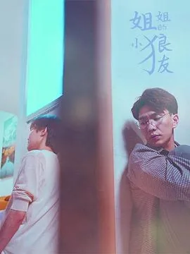 姐姐的小狼友多少集