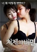 小姨子的秘密演员