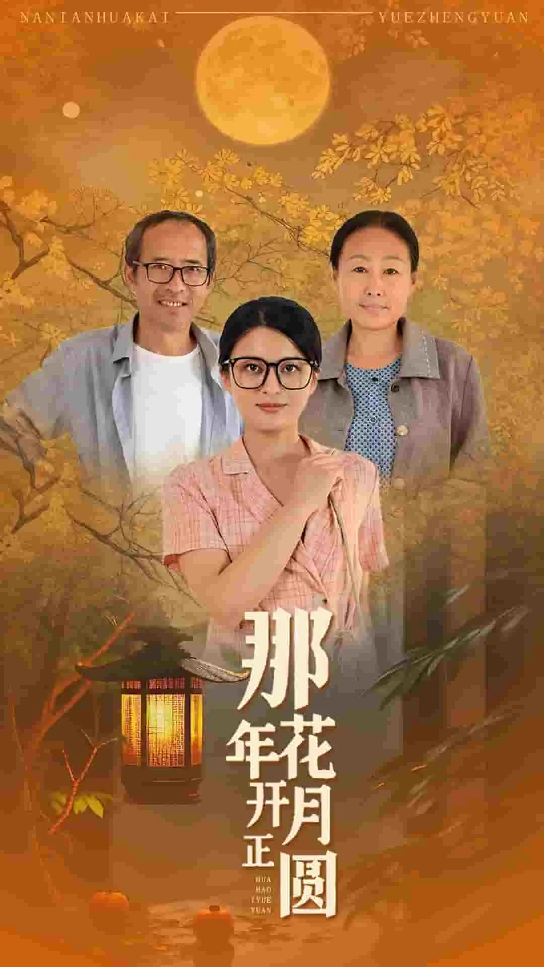 那年花开月正圆片段视频