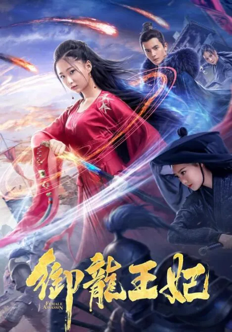 御龙王妃电视剧免费观看