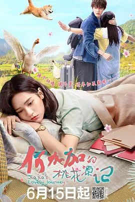 何加加的桃花源记大结局