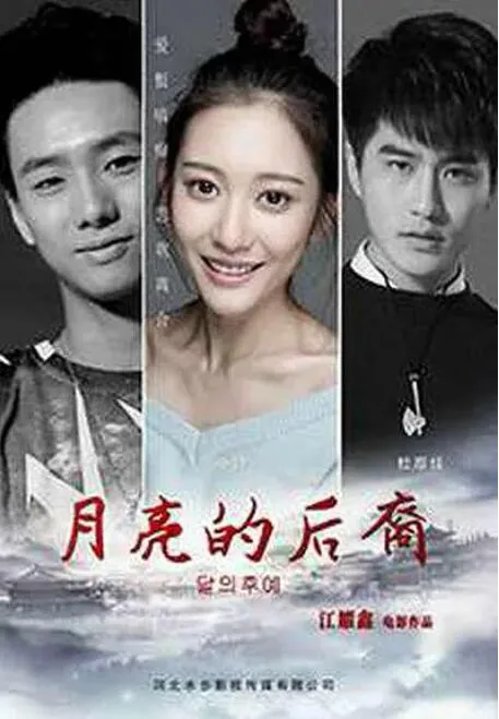 月亮的后裔李采潭版免费观看