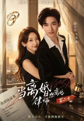 离婚律师结局如何