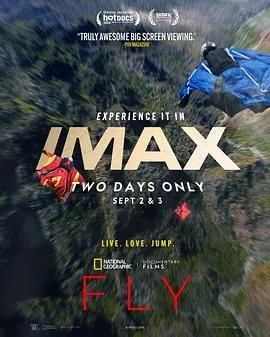 Flyvvire