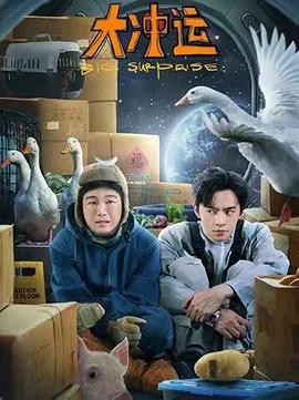 大冲运百度网盘