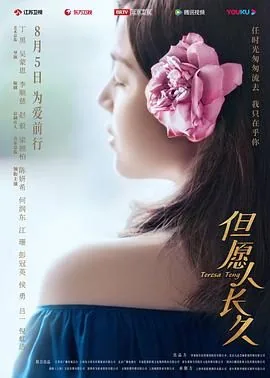 但愿人长久分集剧情介绍