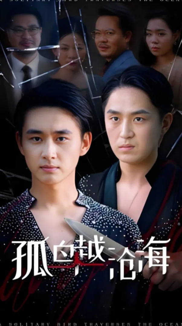 孤鸟越沧海在线观看