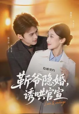 斩爷隐婚诱哄官宣小说