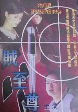至尊盗贼