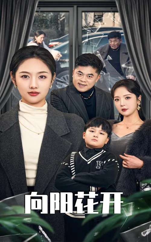 向阳花开电视剧全集免费观看