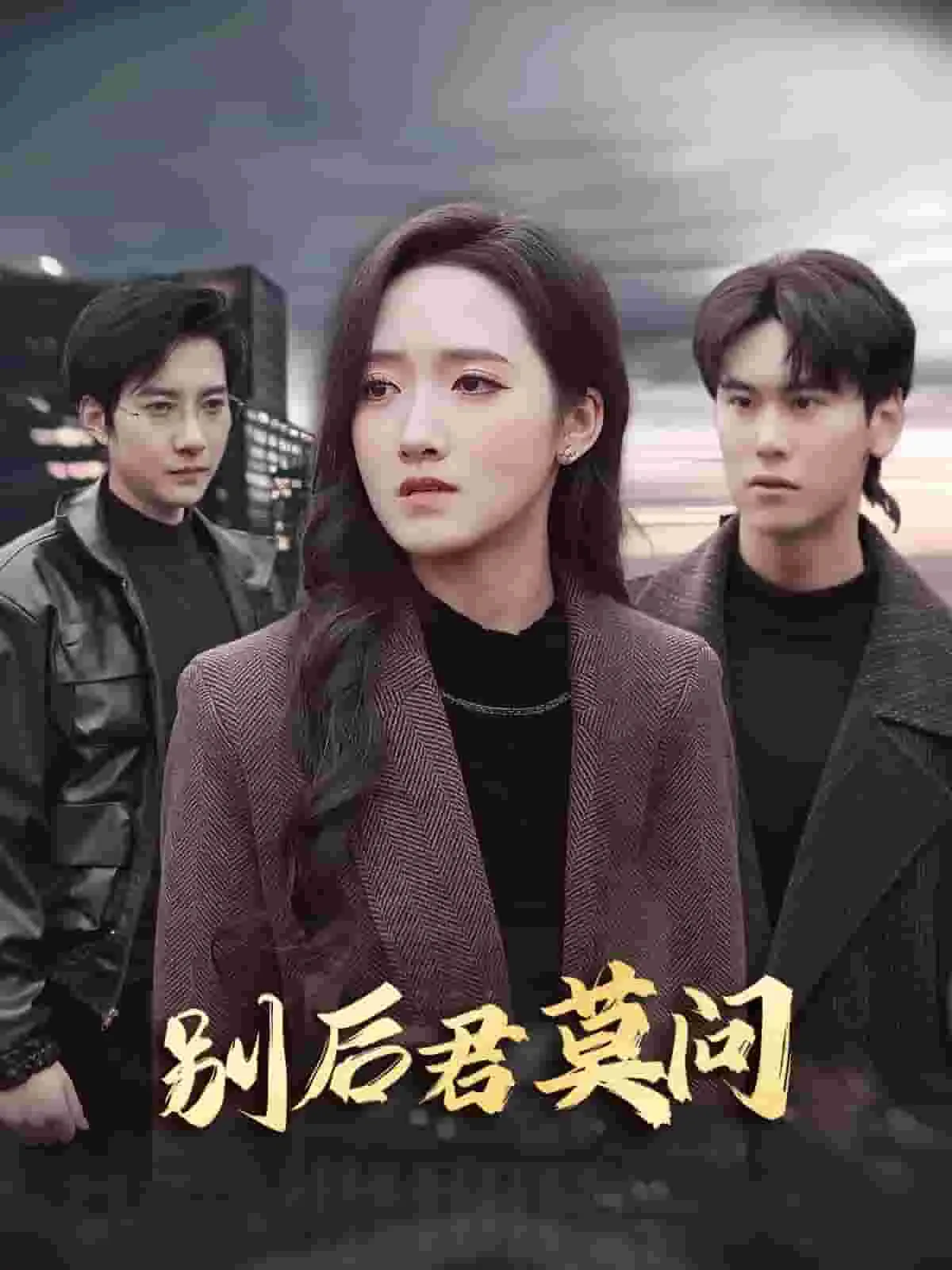 别后悠悠君莫问无限事不言中什么意思