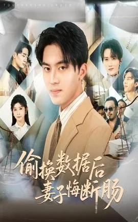 偷换数据后妻子悔断肠刘洋