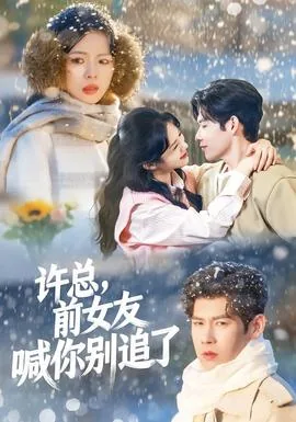 许总前女友喊你别追了小说