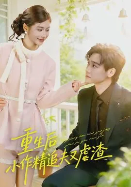 书名:重生后小撩精拿了祸水剧本