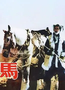 马筱梅