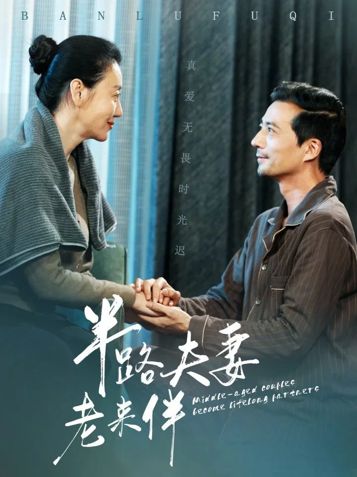 半路夫妻老了的结局