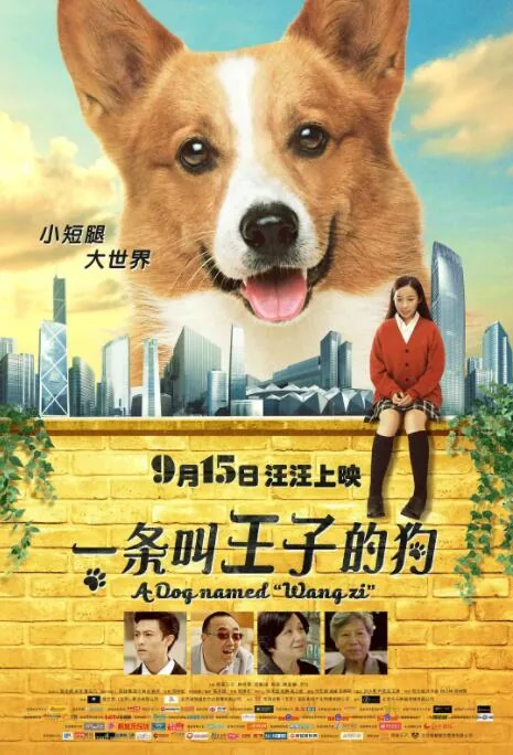 一条叫王子的狗搜狗百科