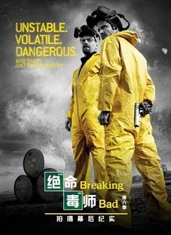绝命毒师有第六季ma