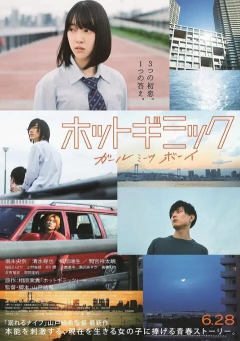 热情花招剧情讲解