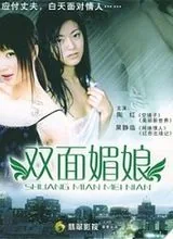 双面媚娘讲的什么故事
