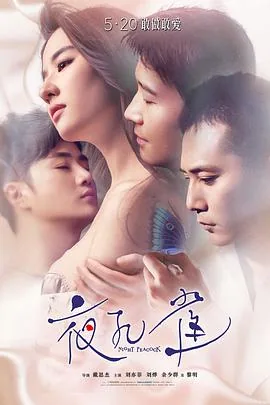 夜孔雀片尾曲谁唱的