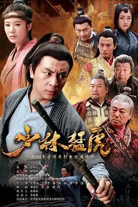 武林猛虎剧情介绍电视猫