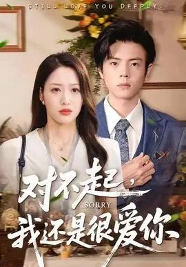 对不起,我还爱你原版