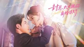 封总太太跟你离婚很久了第二卷