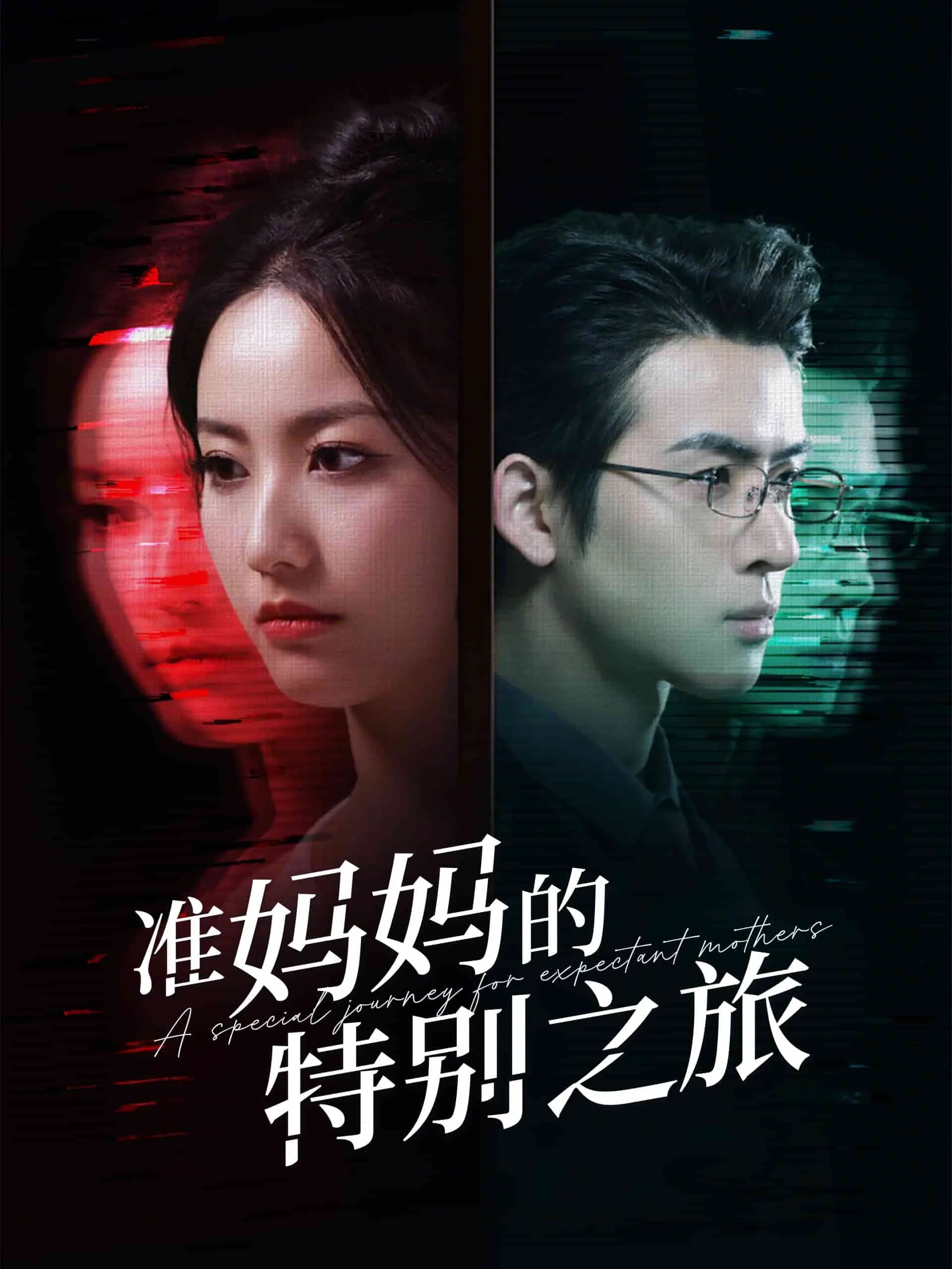 准妈妈的特别之旅插画