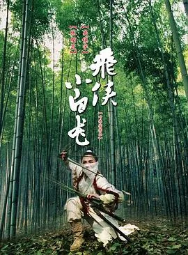 飞龙小白侠电影