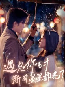 遇见你时所有的星星都落在我头上歌曲