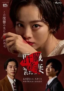 被夺走肝的妻子 电视剧 在线观看