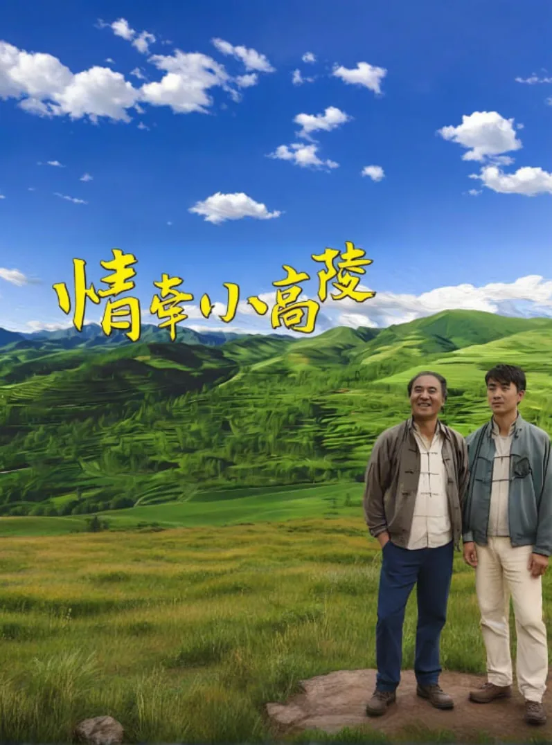 情牵小高陵故事梗概详细介绍