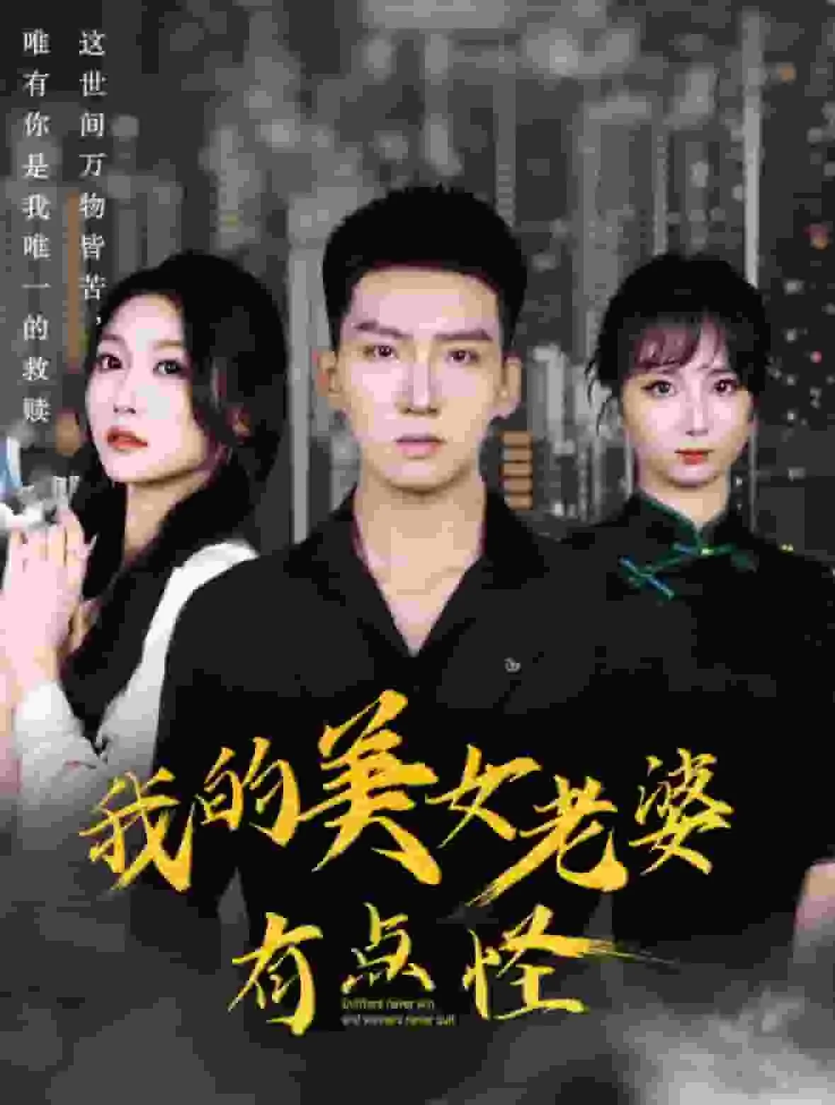 我的美女老婆总裁人物介绍