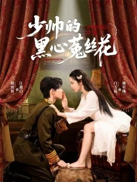 少帅的黑心菟丝花全文阅读